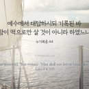 복음의 빛을 비춰서 구약을 바라볼 수 있어야 한다. 이미지