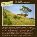 은경이네 Daum카페