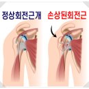 조이핏 이미지