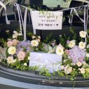 오니플레르 이미지