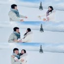삿포로 비에이 투어 소소투어 후기 (나홀로나무/ 흰수염폭포 / 닝구르테라스 / 비에이역 / 탁신관)