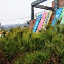 커피베이 경기광주태전동점 이미지