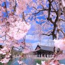 서울경복궁 이미지