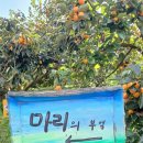 마리의부엌 | 마리의 부엌, 소소마켓을 다녀오다.