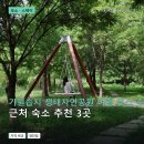 뉴알프스 관광 모텔 | 가원습지 생태자연공원 여행 코스 주차·운영시간·사진 포인트 숙소 비교 3곳