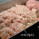 명태의 내장 곤이(鯤鮞)와 이리와 애 이미지