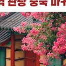 엠씨엔(M.C.N)코리아 이미지