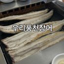 우리풍천장어 | 전북 고창 로컬맛집! 순치장어 소금구이로 유명한 '우리풍천장어' 내돈내산 솔직후기
