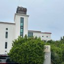 대정게스트하우스 | [일상블로그] 혼자 제주 여행 제주도게스트하우스 끌림365(+파티 1,2차 후기)