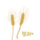 보리 티스토리