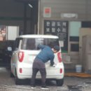 돼지카센타 이미지