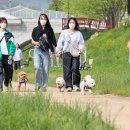임실모터스