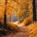 후노래연습장 이미지