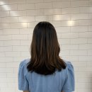 신덕약품(주) 이미지