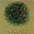 폴개우영 이미지