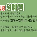 힐링원예협동조합 이미지