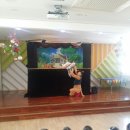 키즈포레 유치원 이미지