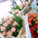 몽중인 Daum카페