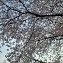 다끼골세원공인중개사사무소 | 내서부동산 아파트 원룸 매매 전세 믿음직 스러운 공인중개사