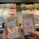 이모네비어 이미지