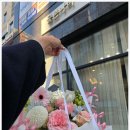 나비원주