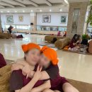 하이렉스파 이미지