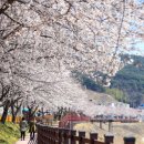 원지강변로 이미지