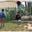 윤선생애견훈련소 이미지