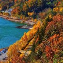 월영연못공원 이미지