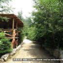 산중펜션 이미지