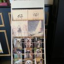 해피독스 애견샵 이미지