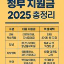 정부지원금