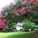 양정1동-28 이미지