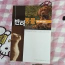 김용태산업동물병원 | 반려동물 장례지도사 자격증 취득 방법과 현실적인 취업 이야기