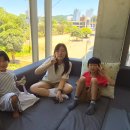 2026.08.02 성종이 병문안 이미지