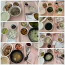 단순물혹 제거 수술 -복강경 수술 후기