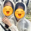 지니투어 - 중구 중앙대로 96 | 지니투어