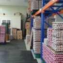 엠스테이빌딩 이미지