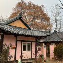 신동-69 | 「춘천」 신동 카페 “바오밥” 가성비 디저트, 푸딩, 브륄레, 스케치, 조용하고 아늑한 카페 추천...