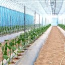 기두농장 이미지