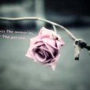 보리다방 이미지