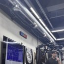 몰리짐 장기점 이미지