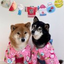 Yeuli ❤❤❤ 이미지