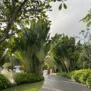 리빙룸루틴 | 발리 물리아 빌라스 후기｜조식 3곳·풀빌라·애프터눈티 완벽 정리