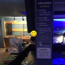 썸피싱카페낚시터 이미지