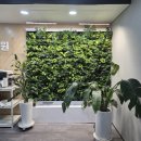 대중부동산 | 부산 부동산 경매학원 내돈내산 솔직 후기