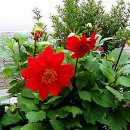 오늘은좋은날 이미지