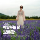 충혼 | 제주도 보롬왓 카페 9월 깡통기차 서귀포 동쪽 여행