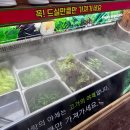 삼겹사랑인동점 이미지