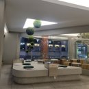 덤보 | 전주 객리단길 카페 추천, 귀여운 디저트가 있는 카페덤보 내돈내산 후기